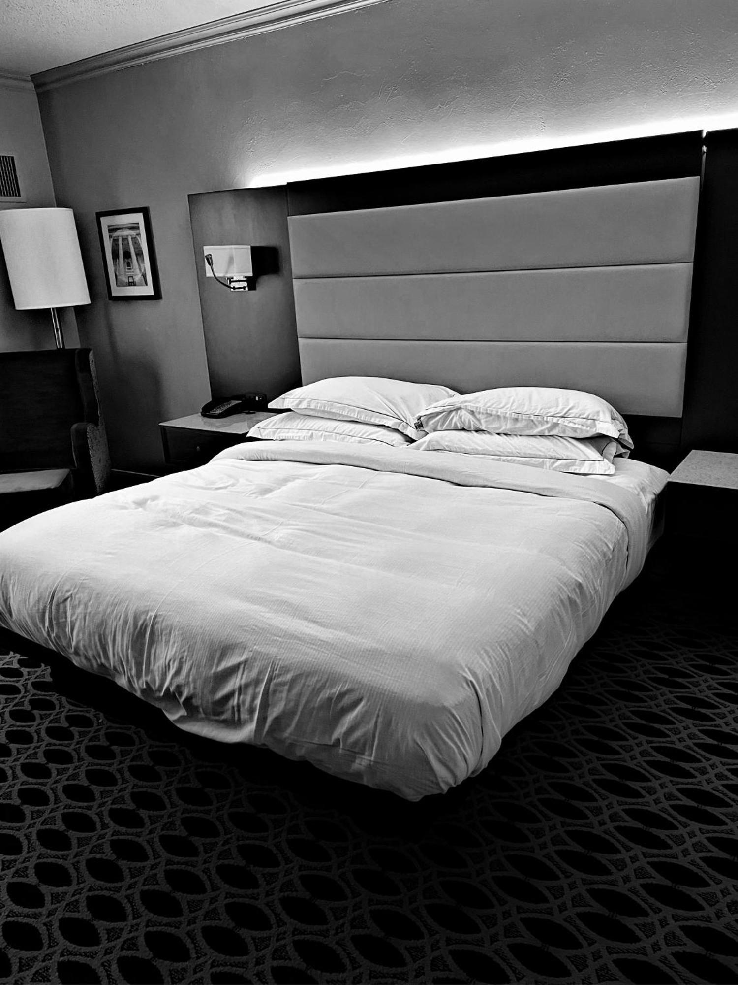 Hotel Ambience Plaza Jmd - Delhi Airport New Delhi Eksteriør billede